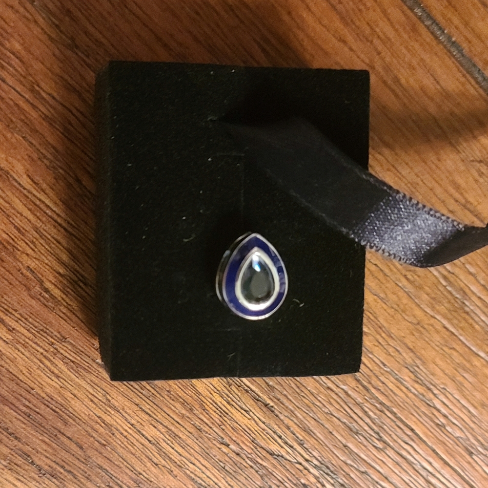 Pandora Charm
